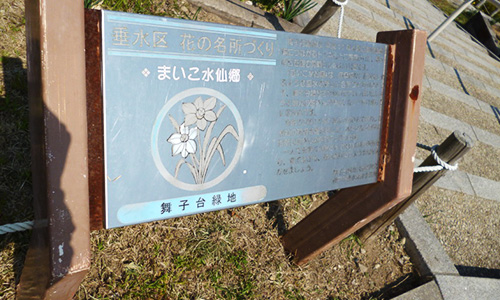 苔谷公園その1