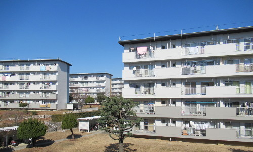 敷地内風景その2