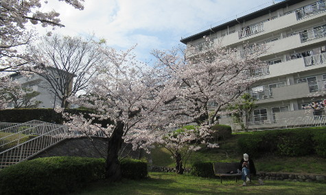 敷地内風景その9