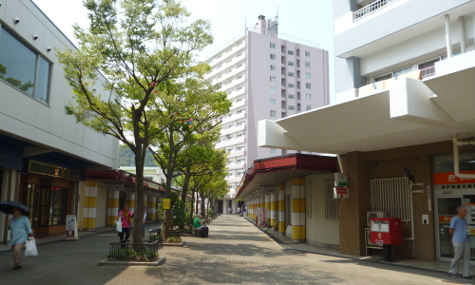 敷地内のようす