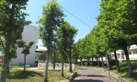 敷地内風景