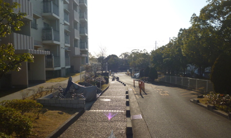 敷地内風景