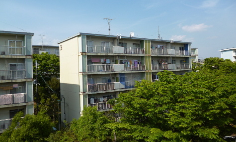緑に囲まれた建物
