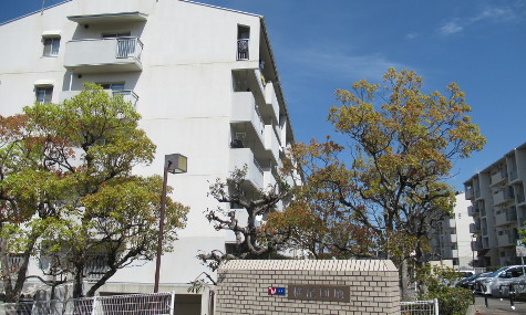 横尾団地外観