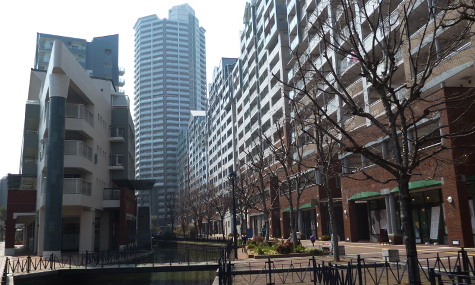 敷地内風景