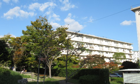 上高丸団地外観