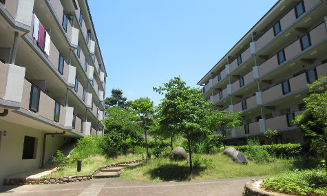 シティコート住吉本町外観